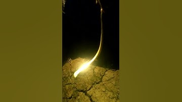 Watch Me Risk it All to Catch a Snake at Night...You Won