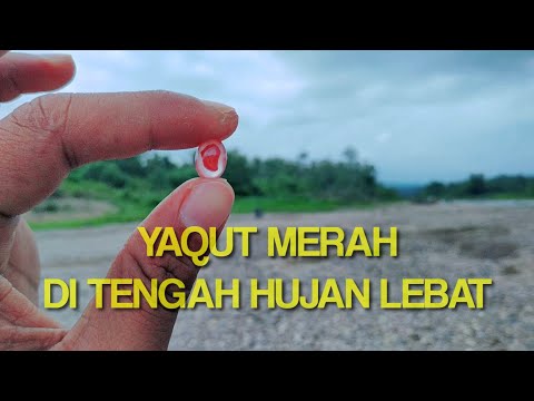 Membahas tentang cara memakai cincin batu akik bertuah yang benar. Konsultasi : 085762118383 (SMS/Te. 