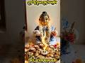🌿🏵️🌿Laddu Gopal Ji Ki Bhog Darshan ✨🕉️🙏 #shortsfeed #viralvideo #shorts