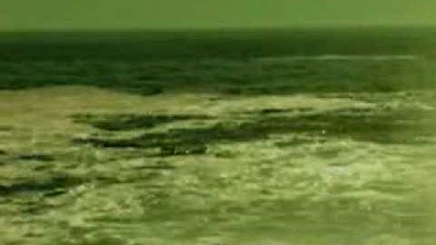 PAUL RYAN, 2003-2005, Wave Breaking Symmetry - Earthscore Chreod.avi