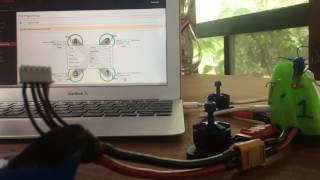 RaceFlight Integrated 1wire. As easy as it gets.