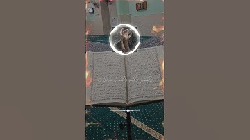 تلاوة تريح القلب #قران #راحة_نفسية #اكسبلور #tiktok #duet #ترند