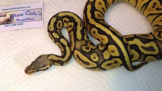 2012 Holdbacks & Purchases Wealth