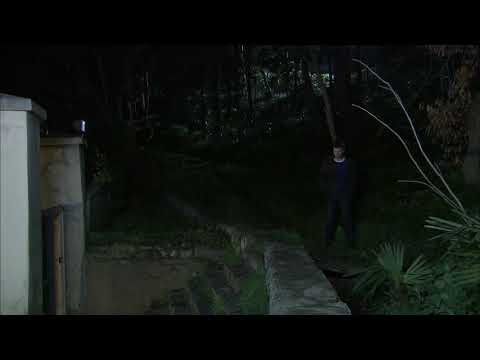 Aşkı Memnu 65 Bölüm Behlül Sahnesi