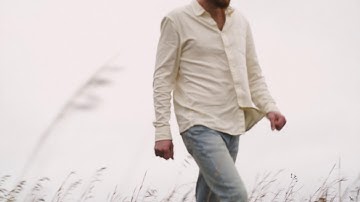 Field Guide / If I Keep Seeing You / Official Video