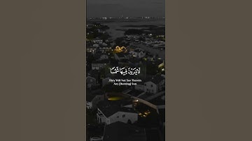 من سـورة الإنسان- القارئ شريف مصطفي