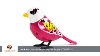 Digibirds - Bird With Bird Cage - Graffitti Reviewtest