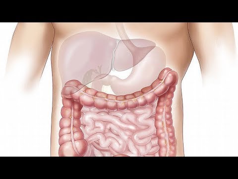 prendersi-cura-dell'intestino-in-9-mosse-|-foodvlogger