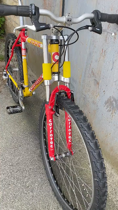 Iconic and weird - 1996 Corratec 2005