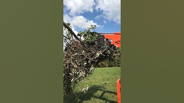 Wessendorf brush crusher