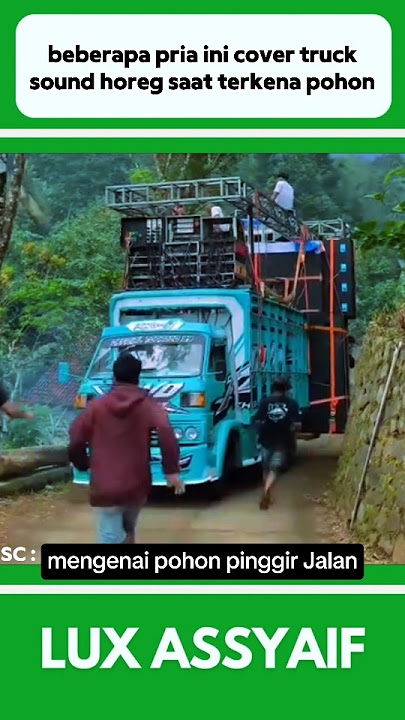 BEBERAPA PRIA INI COVER TRUCK MUATAN SOUND YANG BERHENTI KARENA TERKENA POHON #shorts