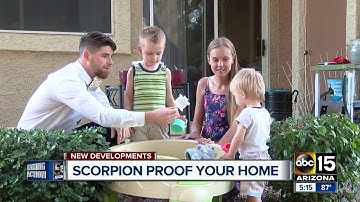 Pest control expert helps Mesa woman with scorpion infested apartment