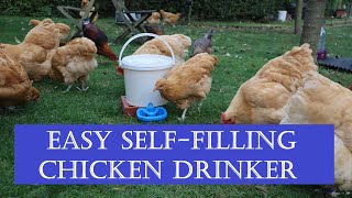 MAXI CUP AUTOMATIC POULTRY DRINKER 