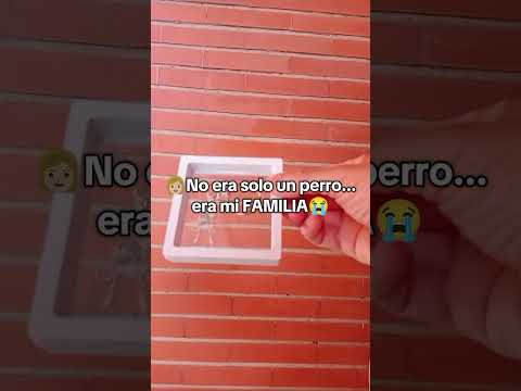 No era SOLO