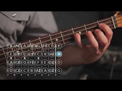 how-to-do-roots-&-fifths-exercises-|-bass-guitar