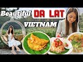 You need to visit da lat   the best city in vietnam   da lat travel guide vlog