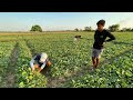 Word of Wisdom form a 23 Years Old Farmer: It will help you succeed