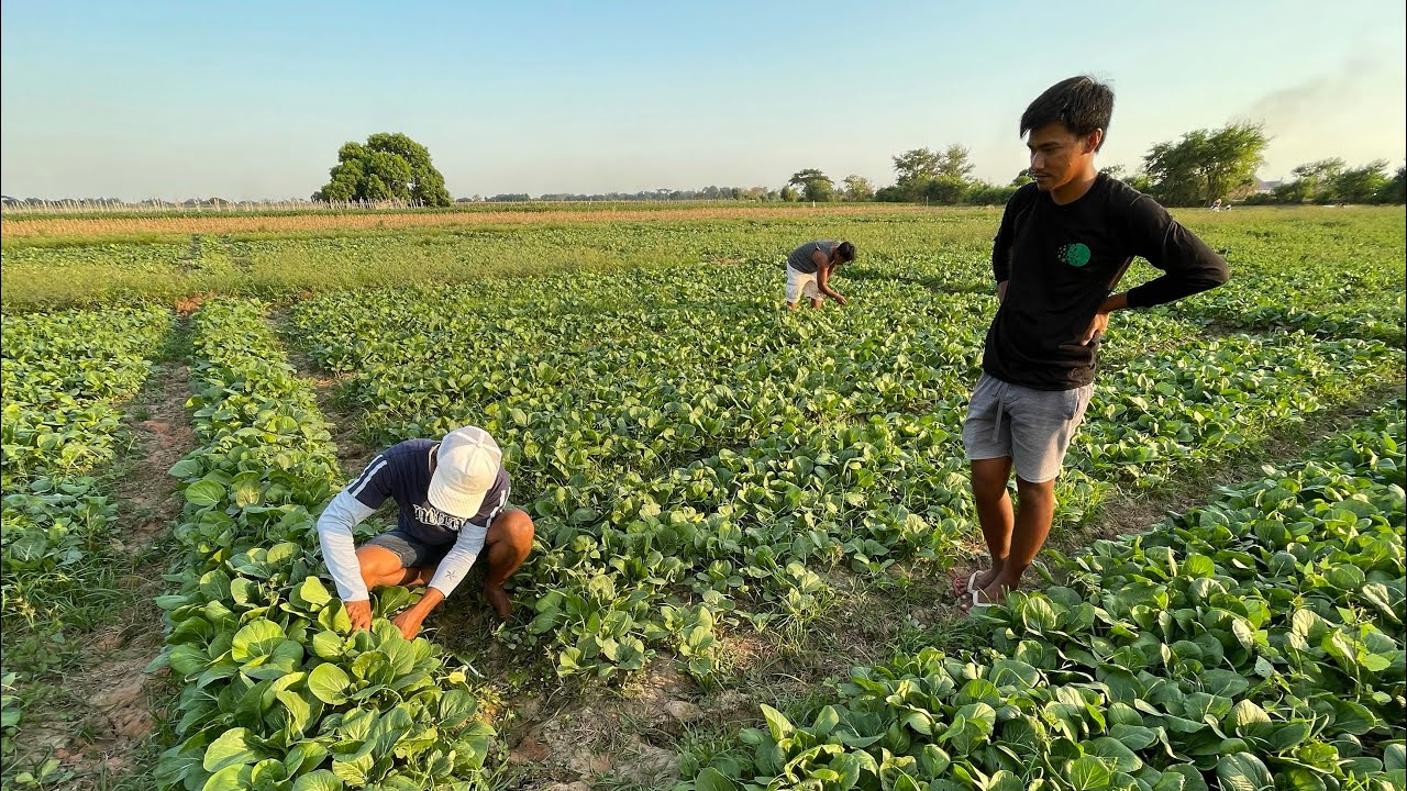 ⁣Word of Wisdom form a 23 Years Old Farmer: It will help you succeed