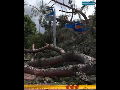 Video Violento tornado su Roma, 3 Giugno 2026. I danni