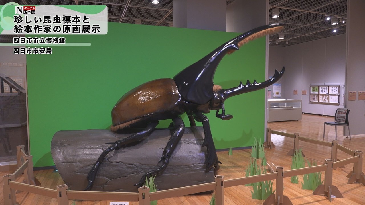 Cable News] Special Exhibition: Insect Festival - YouTube