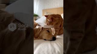 I Can Take Care Of You Too.