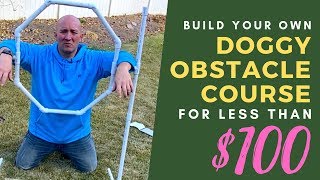 DIY Agility Obstacles for Under $100