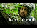 Nature Planet Narrated By Adam Sandler Nature Planet Narrated By Adam Sandler
