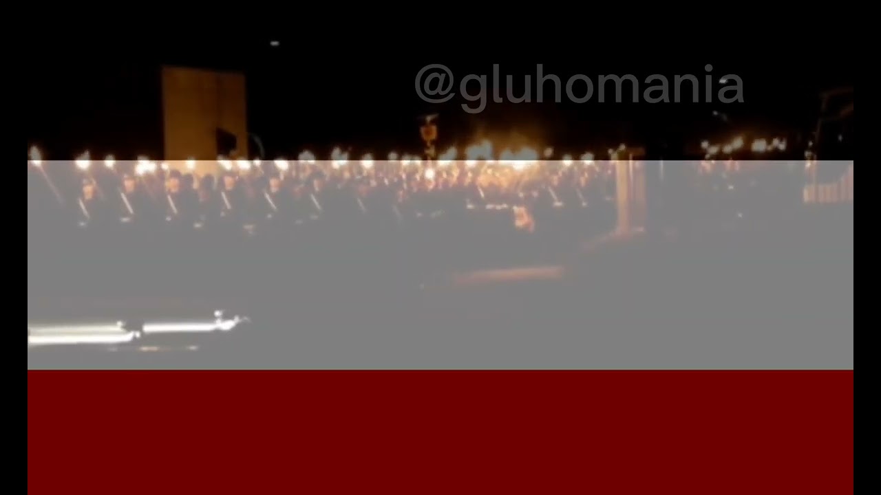 Just old Georgian flag