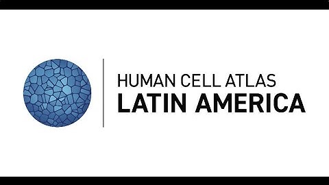 Human Cell Atlas 2020: Single cell transcriptional landscape of coding genes & long non-coding RNAs