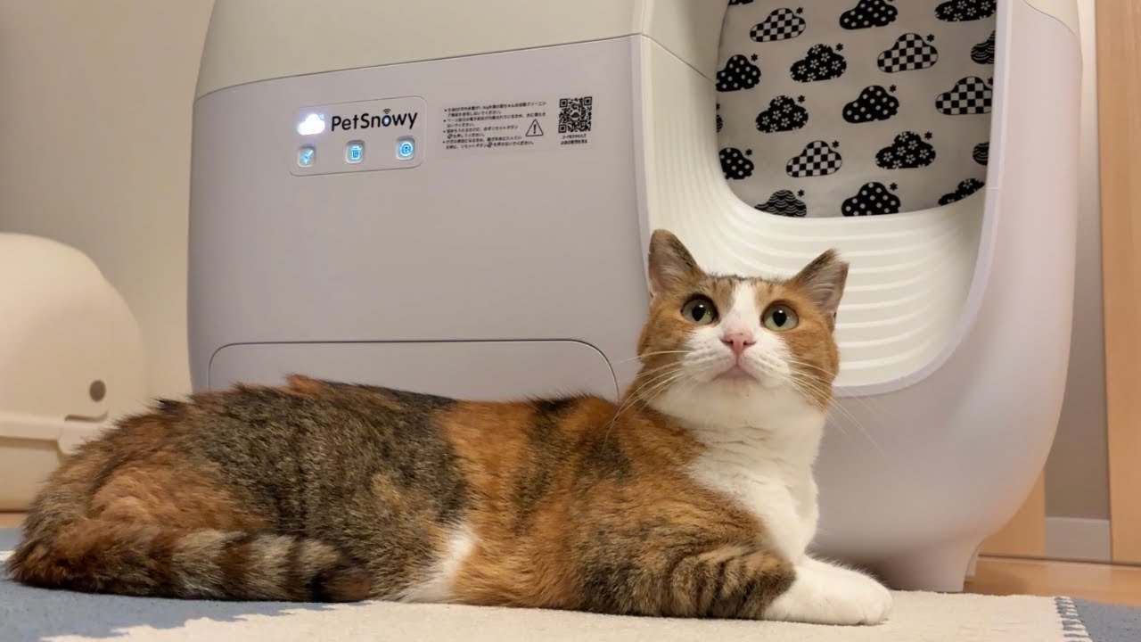 全自動猫トイレPetSnowy満喫にゃんず - YouTube