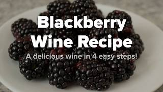 Homemade fruit wine, make wine with no sugar, no yeast, no chemicals