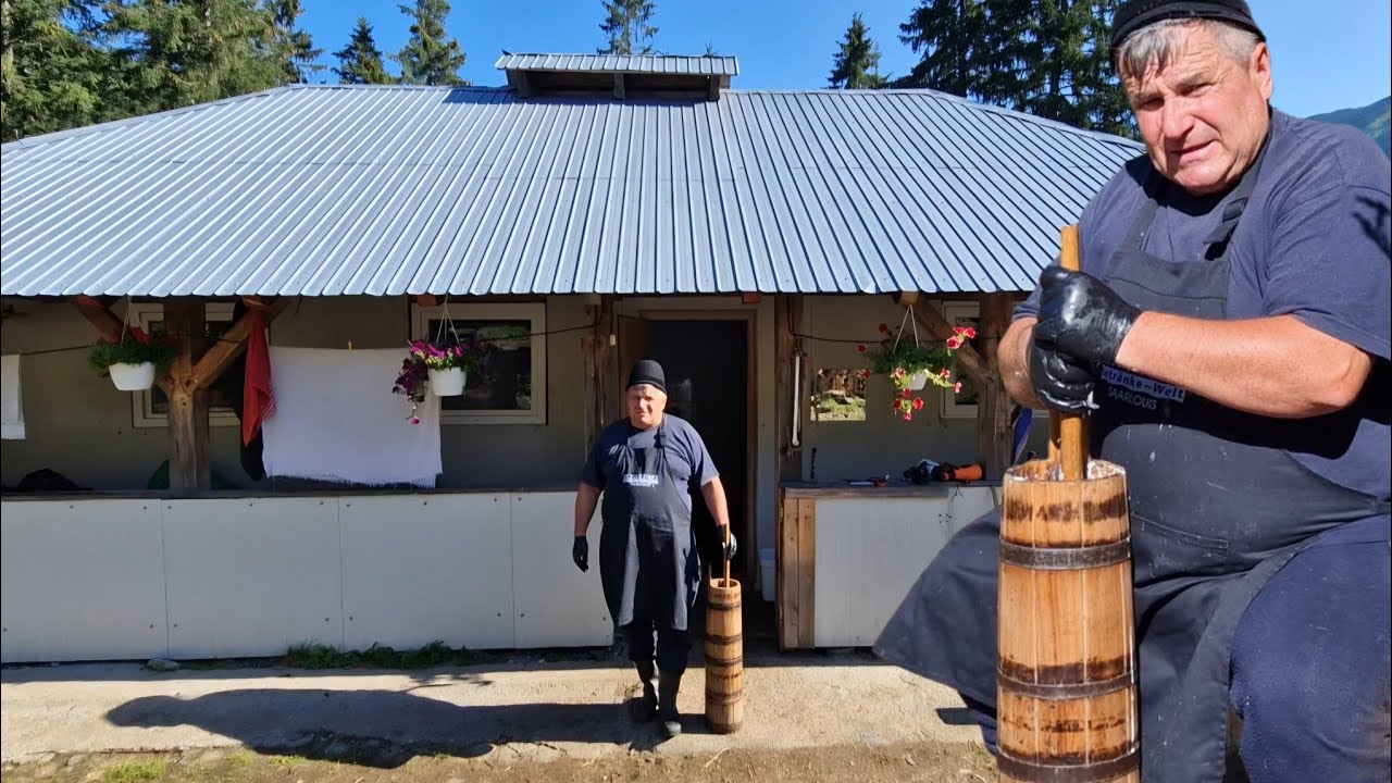 CUM SE FACE UNTUL DE OAIE BĂTUT LA BĂDÂNI ÎN INIMA MUNȚILOR RETEZAT LA STÂNA BUTA, CU ION HOBICEAN 