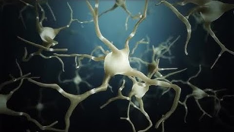 Neuron Cells Connections World Stock Motion Graphics