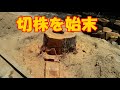 杉の切株の始末 ー ボロ家暮らしの日常