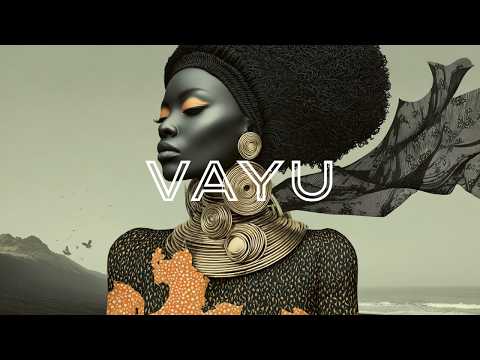 VAYU – Silver Shadow (Afro House)