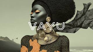 VAYU – Silver Shadow (Afro House)