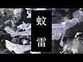 蚊雷 feat. IA