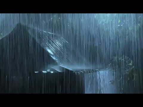 Goodbye Insomnia With Heavy Rain Thunder Growls On A Stale Tin Roof In Foggy Murky Forest At Night