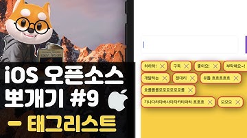취준생을 위한 아이폰 앱개발 오픈소스 해시태그  fundamental ios Tutorial (2020) - ios hashTag, chip
