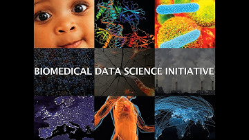 Biomedical Data Science Initiative at Stanford
