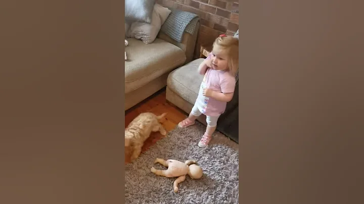 When toddler savannah meets her puppy for the firs...