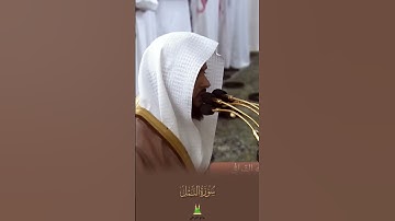 تلاوة خاشعة ومؤثرة تأخذك لعالم آخر للشيخ #عبدالله_القرافي من سوره #النمل