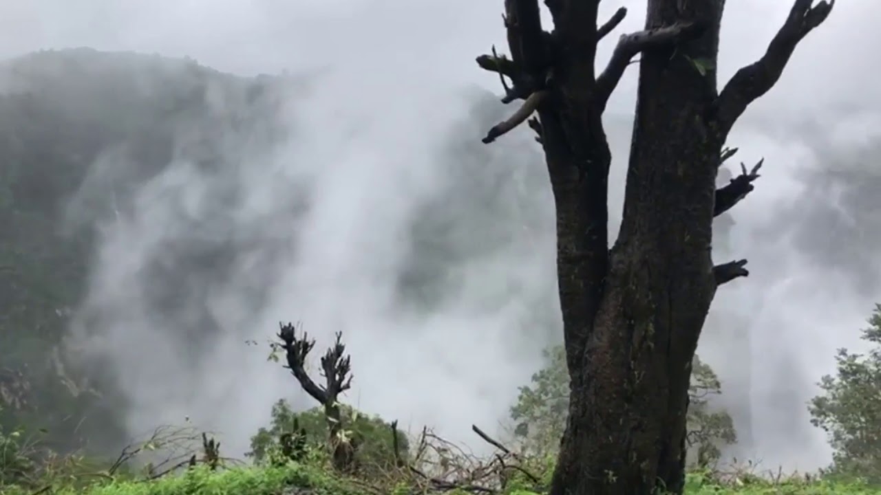 Salvation Manna in COORG language.