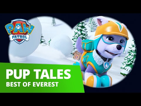 paw patrol everest rescue