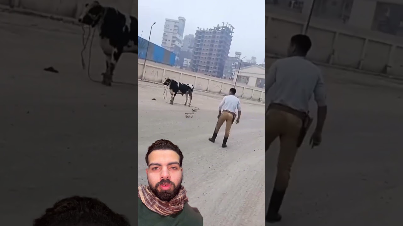 شوف زهران عمل إيه 