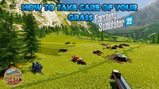 How To Take Care Of Your Grass! | Farming Simulator 22 screenshot 5