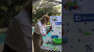 Turtle Splash Math