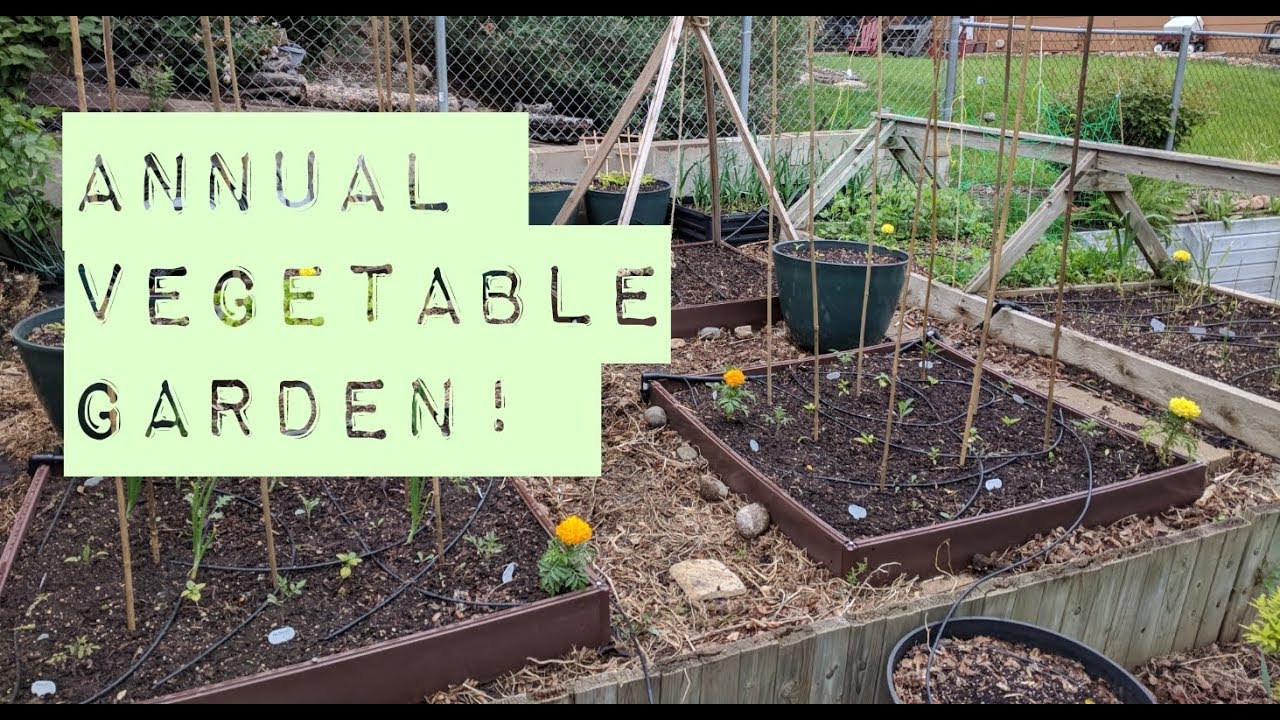 Raised Bed Annual Vegetable Garden in a... Raised Bed! Zone 5 No Till