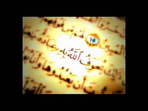 محمد فؤاد بسم الله