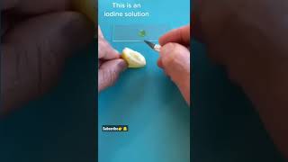 Banana Cell Experiment